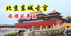 骚货，摸，插啊啊啊，慢点中国北京-东城古宫旅游风景区